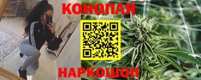 сатива Пушкино