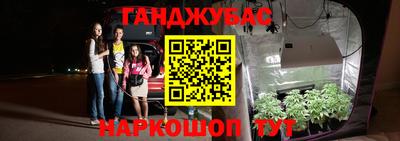 2c-b Пугачёв